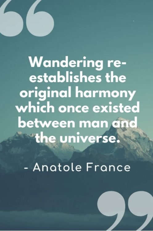 wander reastablishes the original harmony quote