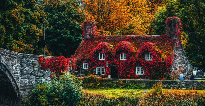 fall break ideas featured image, house covered in red flowers in fall