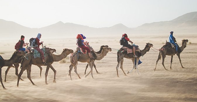group travel tour riding camels in morocco desert