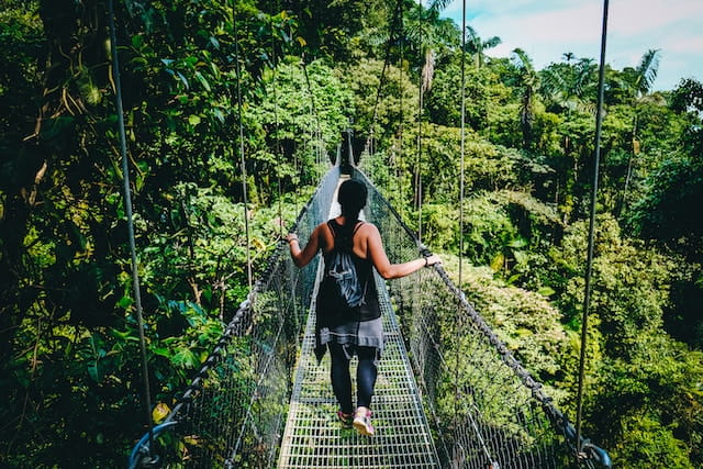 woman standing on hanging bridge in costa rica rainforest