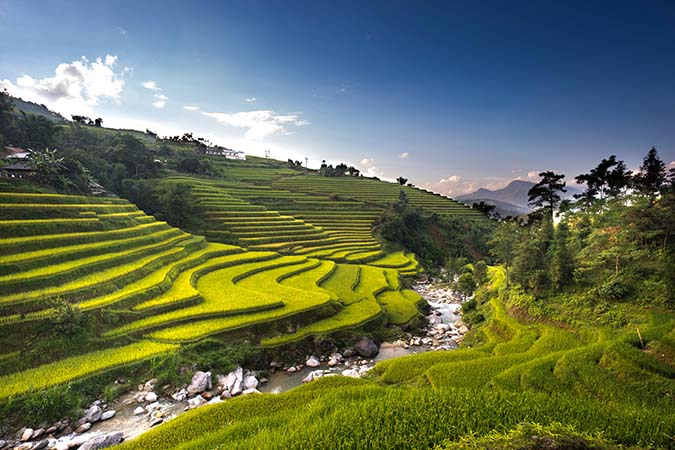 green-rice-fields-how-to-choose-the-best-travel-medical-insurance