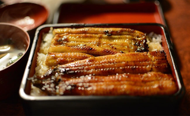 japanese-grilled-eel