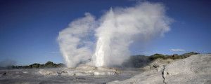 Geothermal Activity, Rotorua, NZ
