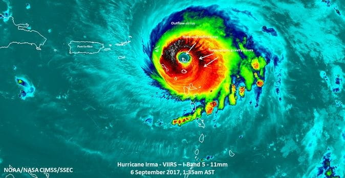 Resources and Tips for Surviving Hurricane Irma