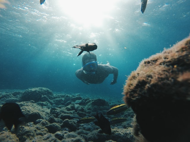 snorkeler swimming through the ocean in the canary islands