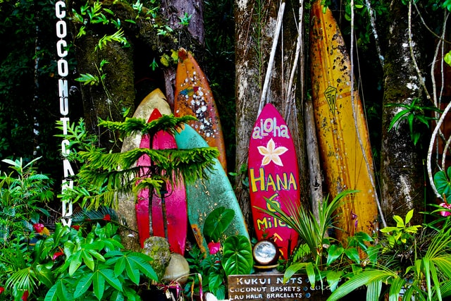 surfboards along the road in maui