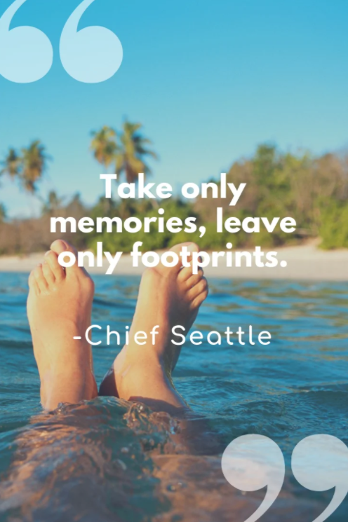 take only memories quote
