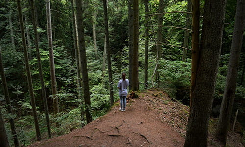 woman-hiking-mullerthal-trail-in-luxembourg.jpg