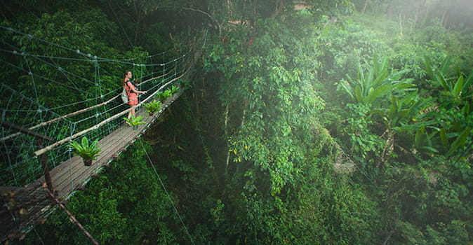 ecotourism in Costa Rica featured image of ecotourist on bridge in rainforest