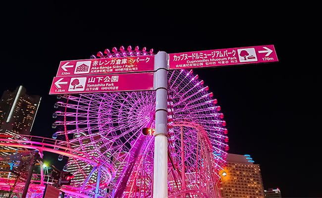 cosmoworld-amusement-park-in-yokohama-japan