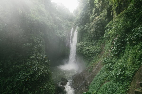 waterfall in forest