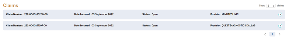 claims-section-example