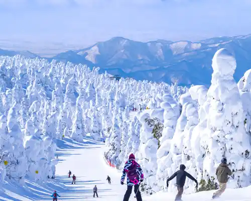 people-racing-down-in-a-slope-through-the-snow-monsters