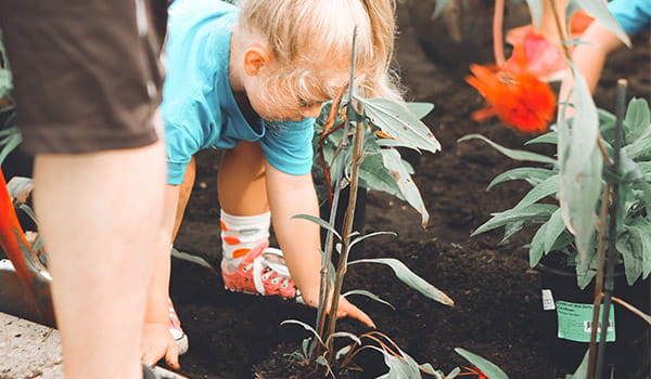 young-mission-volunteer-helping-plant-a-community-garden.jpg
